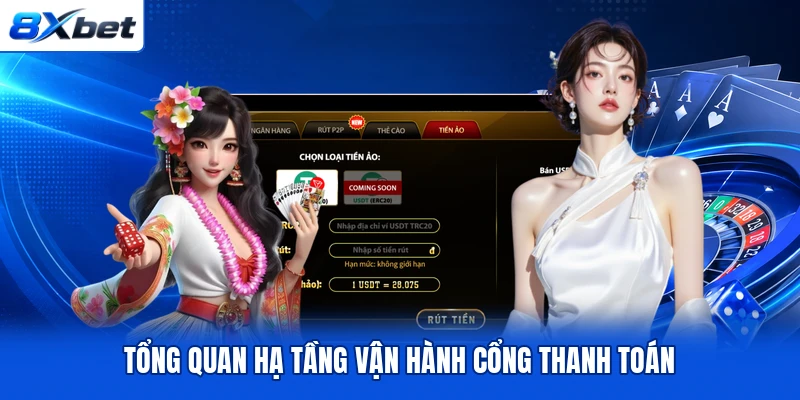 Tổng quan hạ tầng vận hành cổng thanh toán